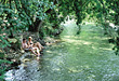 Camping, Caravaning, Hôtel de plein air L